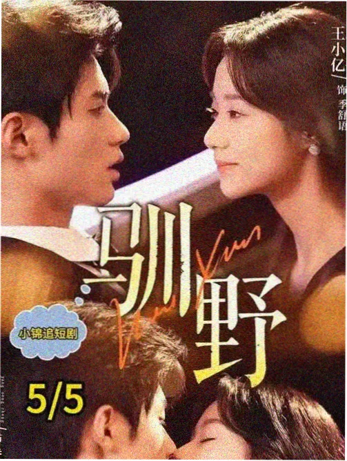 热播电视剧大全之都市轻喜剧我的邻居是编剧剧照